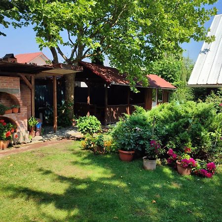 Pensiunea Anita Haţeg Exterior foto