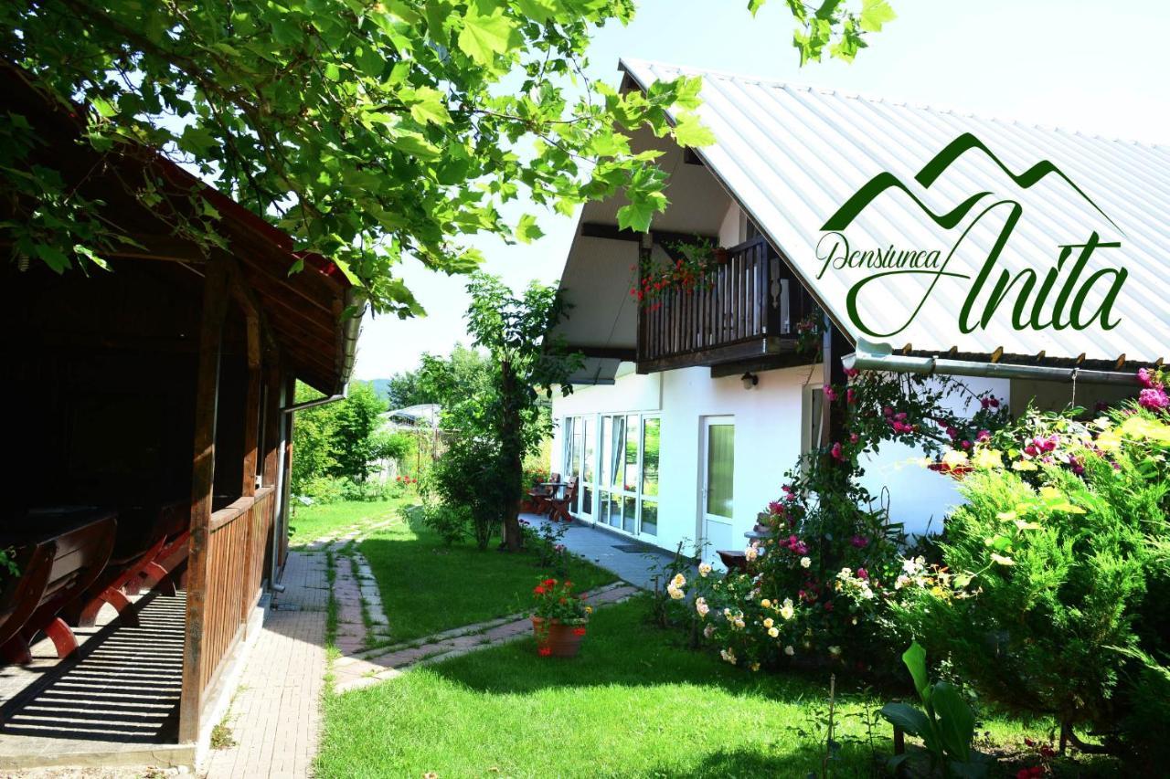 Pensiunea Anita Haţeg Exterior foto