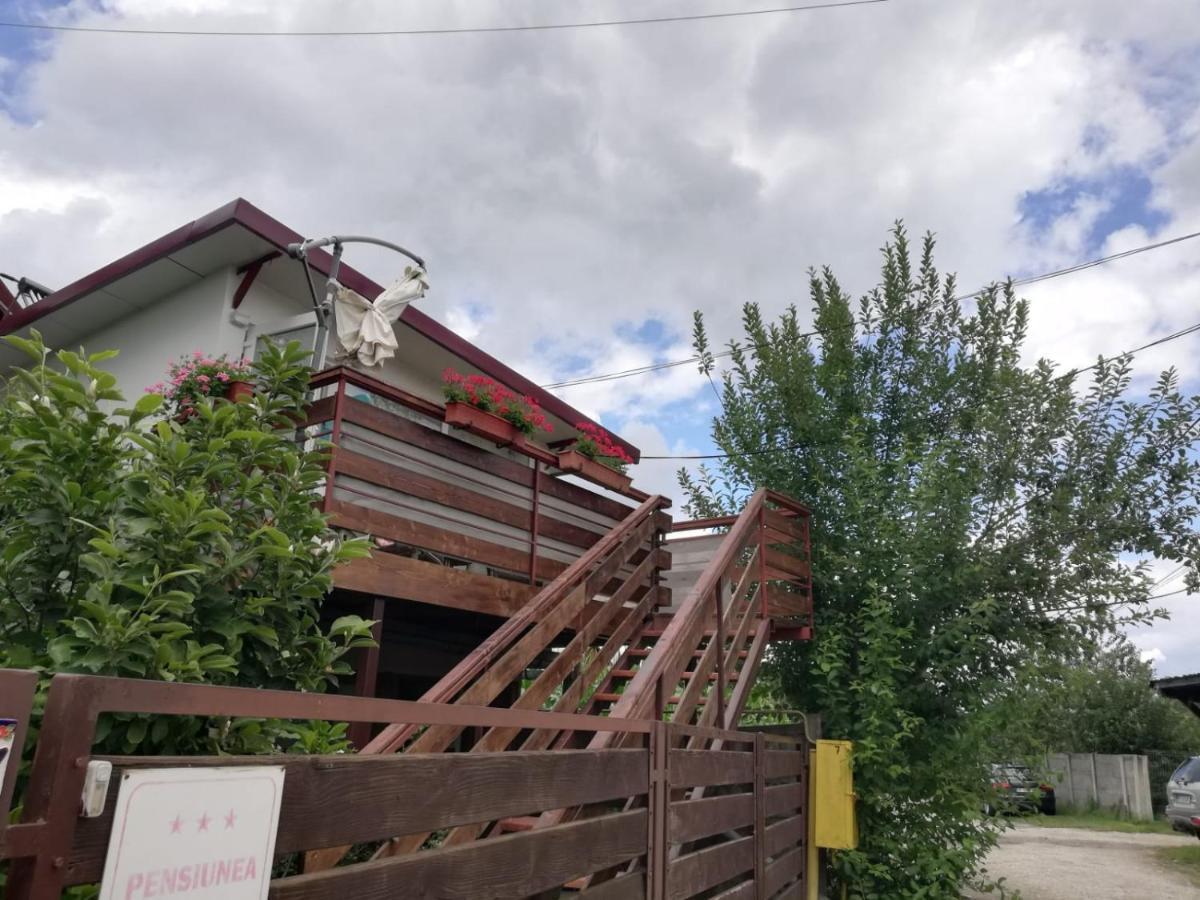 Pensiunea Anita Haţeg Exterior foto