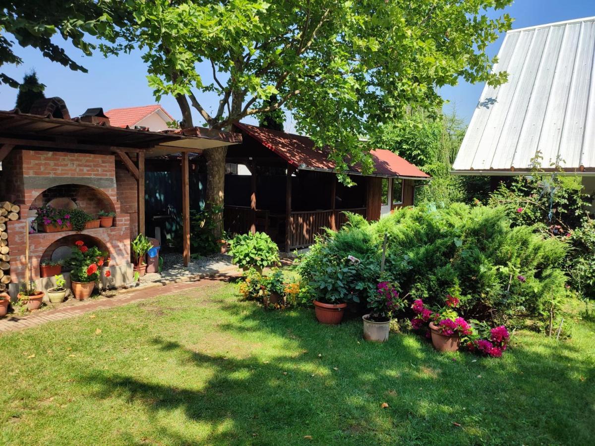 Pensiunea Anita Haţeg Exterior foto