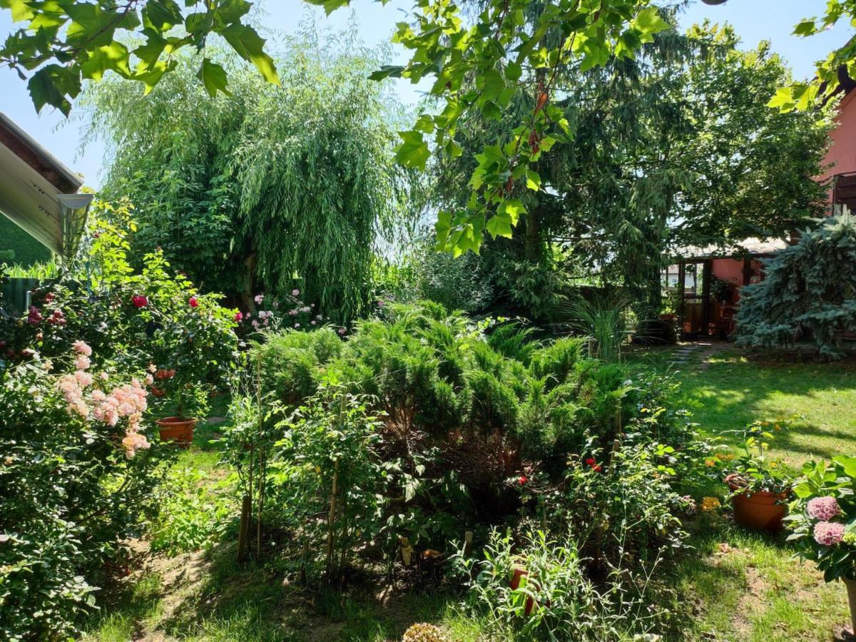 Pensiunea Anita Haţeg Exterior foto