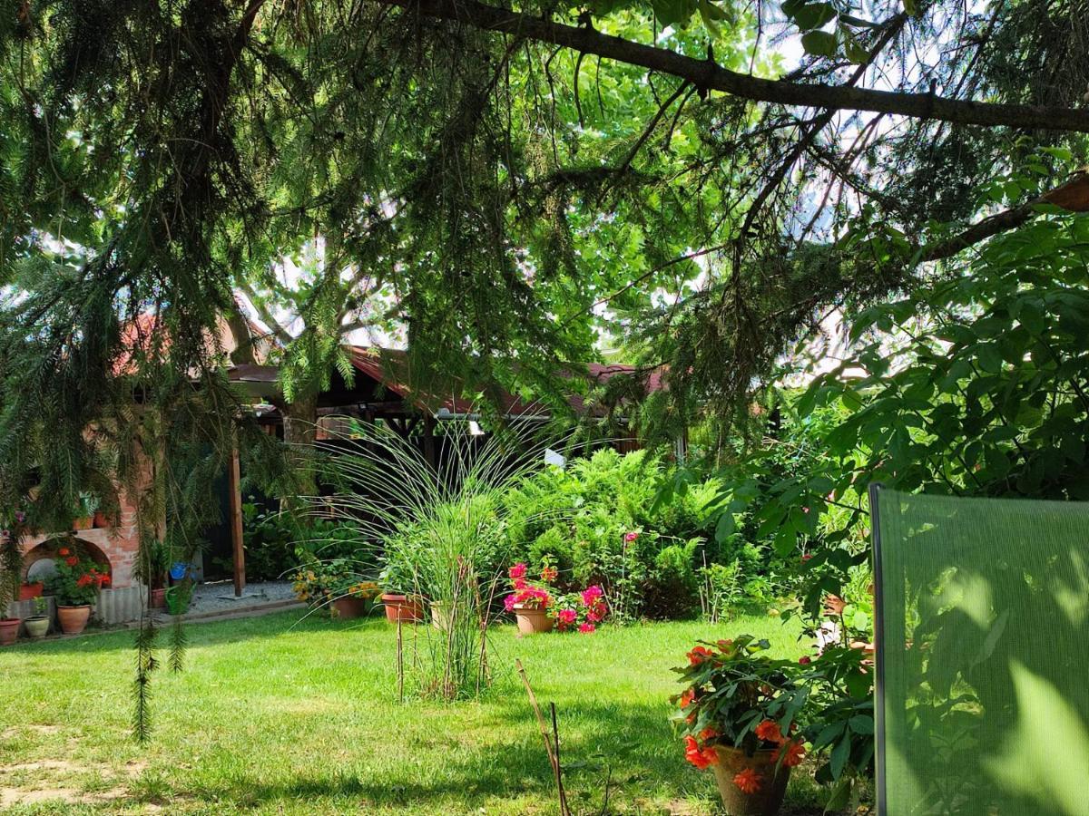 Pensiunea Anita Haţeg Exterior foto