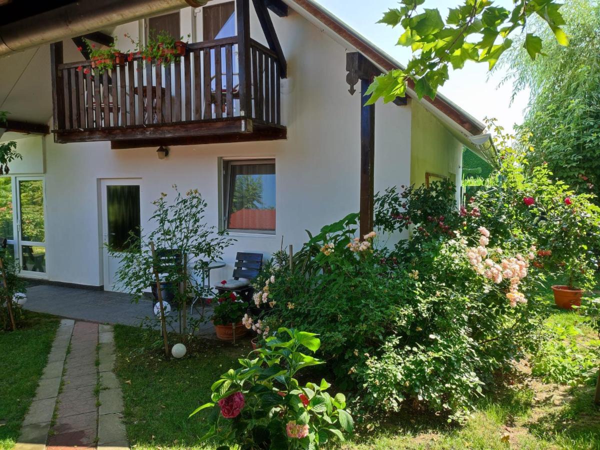 Pensiunea Anita Haţeg Exterior foto