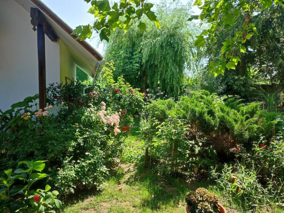 Pensiunea Anita Haţeg Exterior foto