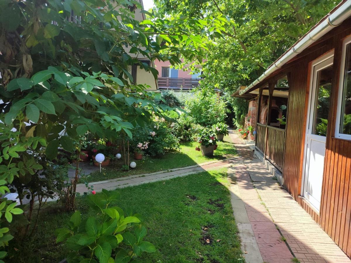 Pensiunea Anita Haţeg Exterior foto