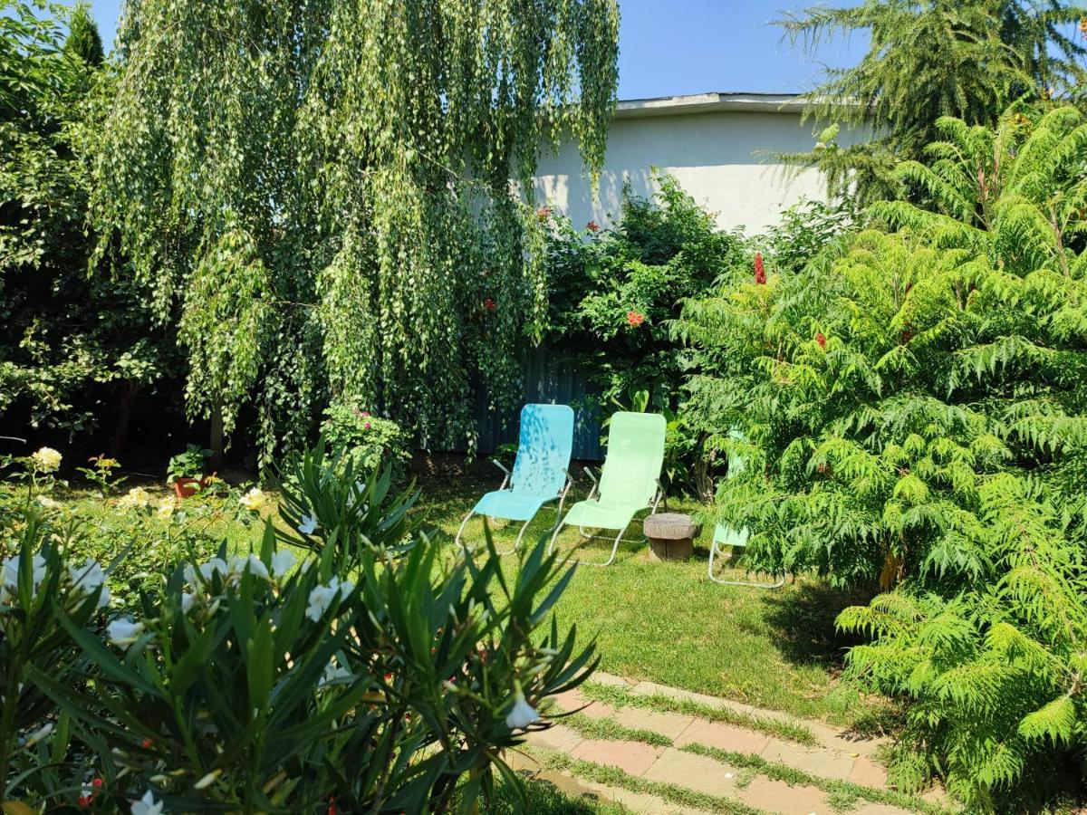 Pensiunea Anita Haţeg Exterior foto