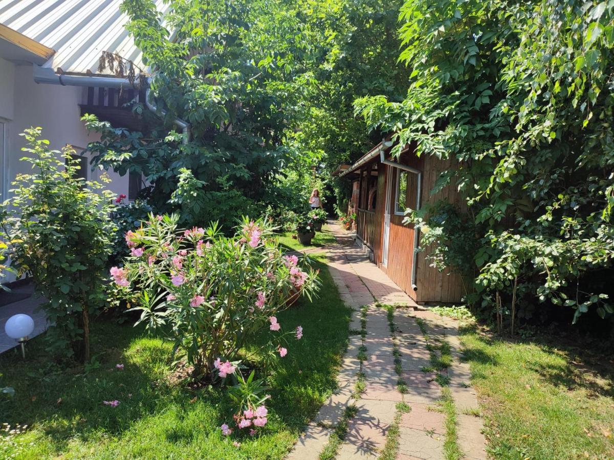 Pensiunea Anita Haţeg Exterior foto