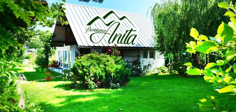 Pensiunea Anita Haţeg Exterior foto